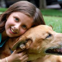 The Importance of Looking After Your Dog’s Dental Health