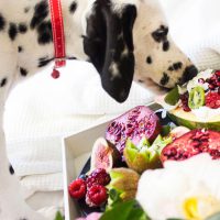 9 Veggies and Fruits That Dogs Can Eat