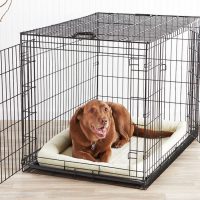 The 4 Effective Steps to Fast Puppy Crate Training