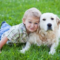 Pets Are Beneficial to Your Kid (Says Research): 5 Best Pets for Kids