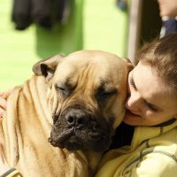9 Questions You Want to Ask Before Getting a Dog Behaviourist