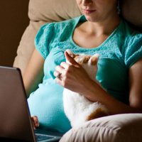 Pregnant with Pets versus Toxoplasmosis