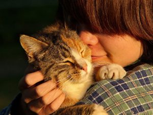 Is Your Behaviour Influencing Your Cat’s Behaviour?