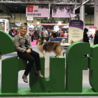 Crufts 2019 in Pictures and Clips
