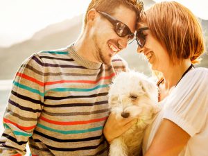 5 Best Dog Breeds for Busy Couples