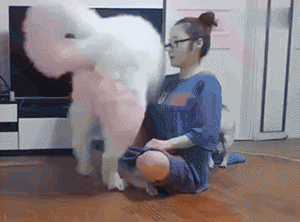 9 Proofs that Being a Big Dog Owner Is a Ton of Fun