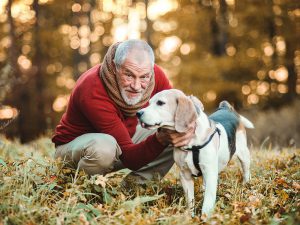 Studies Show that Growing Old Is Better with a Furry Companion