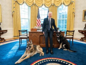 16 US Presidents and Their Beloved White House Dogs