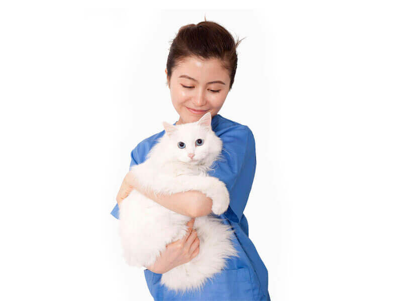girl hugging a cat
